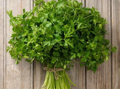 Ảnh minh hoạ: Internet