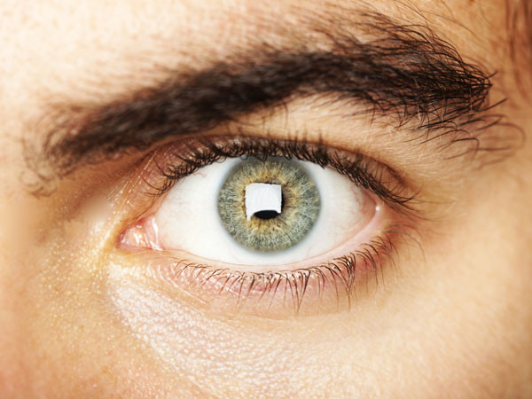 Ảnh minh hoạ: Internet