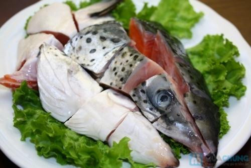 Ảnh minh họa: Internet