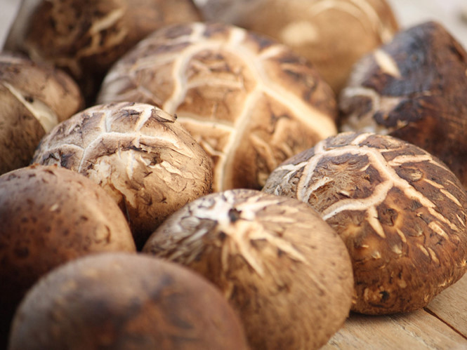 Ảnh minh họa: Internet