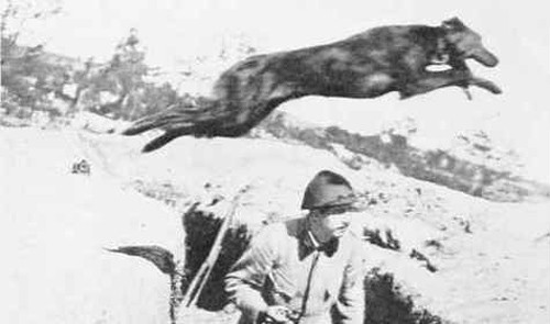 Những cuộc chiến bắt đầu từ các lý do kỳ quặc nhất thế giới