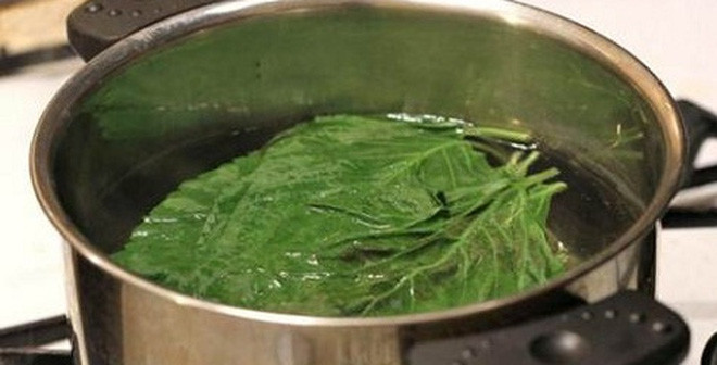 Ảnh minh hoạ: Internet