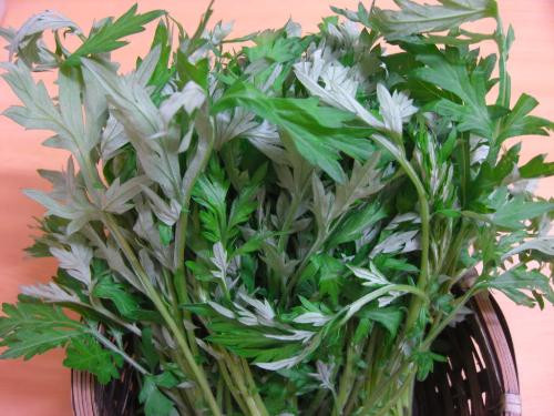 Ảnh minh hoạ: Internet