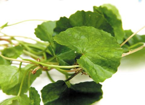 Ảnh minh hoạ: Internet