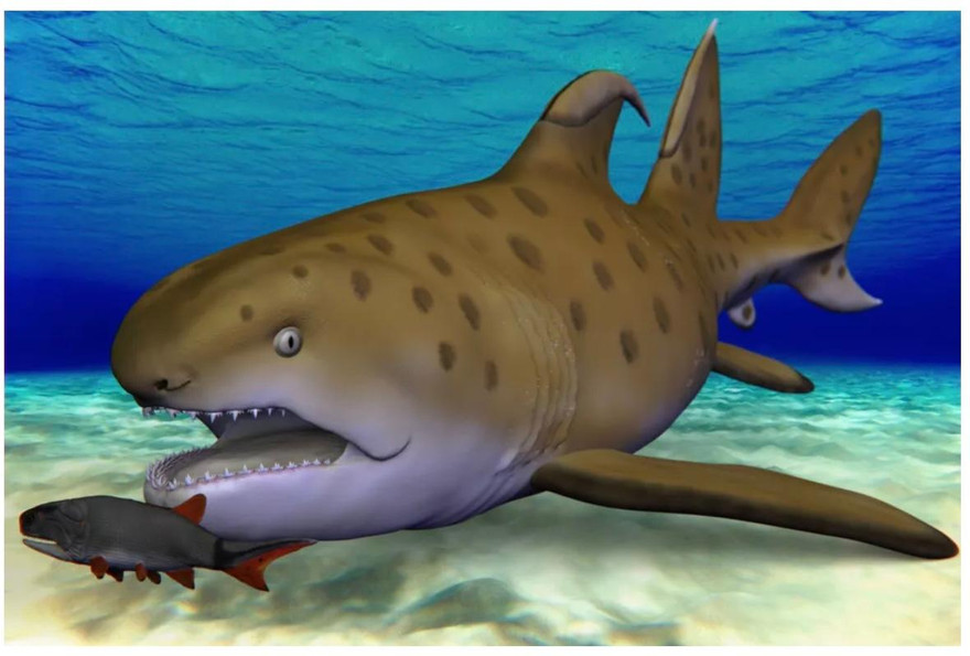 Cá mập Godzila được mô phỏng minh họa theo loài cá mập được phát hiện năm 2013.