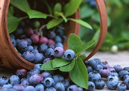 Ảnh minh hoạ: Internet