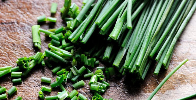 Ảnh minh hoạ: Internet