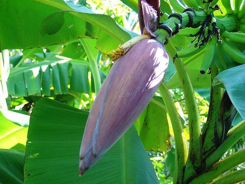 Ảnh minh hoạ: Internet