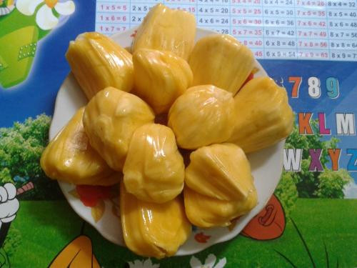 Ảnh minh hoạ: Internet