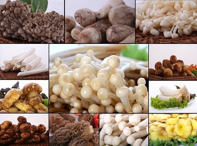 Ảnh minh hoạ: Internet