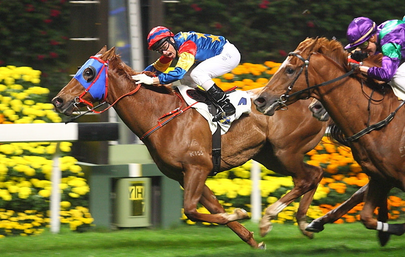 Chính phủ mới ban hành Nghị định về kinh doanh đặt cược đua ngựa, đua chó và thí điểm đặt cược bóng đá quốc tế