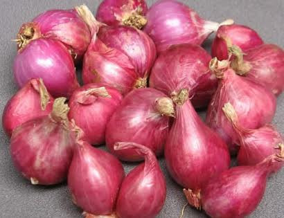 Ảnh minh hoạ: Internet