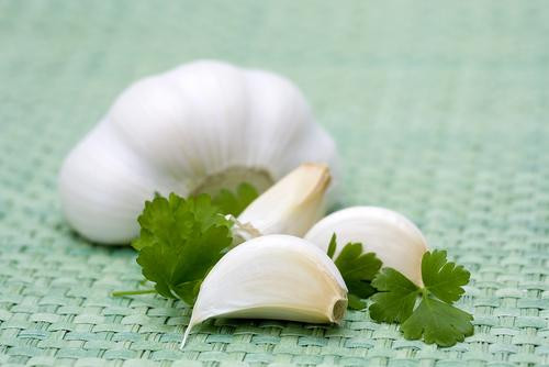 Ảnh minh hoạ: Internet