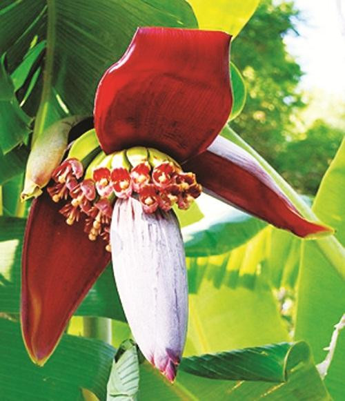 Ảnh minh họa: Internet