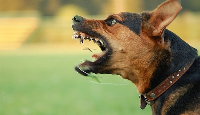 Ảnh minh họa: Internet