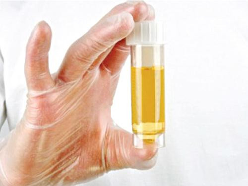 Ảnh minh hoạ: Internet