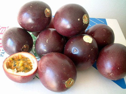 Ảnh minh họa: Internet