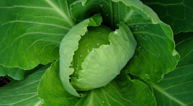 Ảnh minh họa: Internet