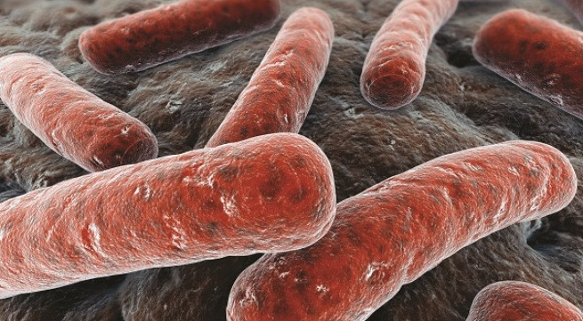 Ảnh minh họa: Internet