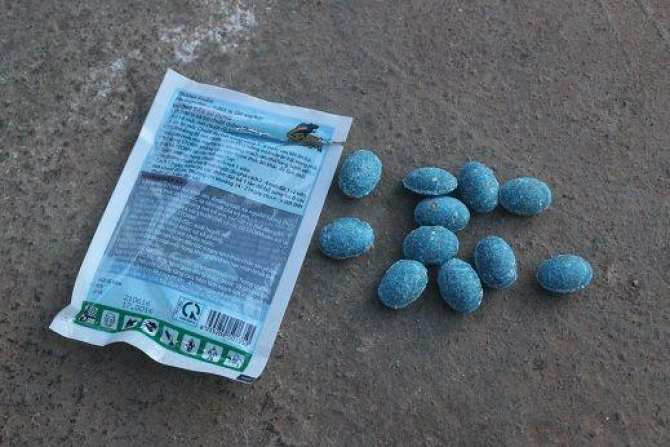 Ảnh minh hoạ: Internet