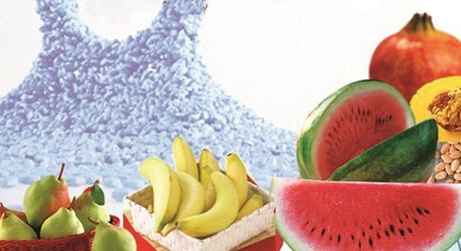 Ảnh minh hoạ: Internet