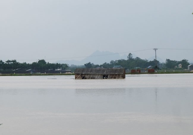 Sạt lở, mua lũ gây thiệt hại nghiêm trọng về người và của. Ảnh TP