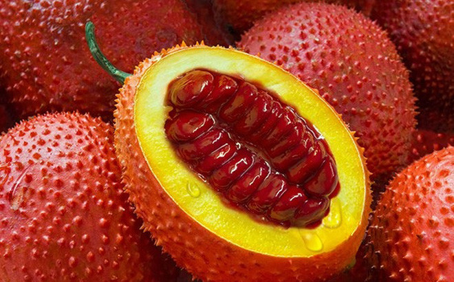 Ảnh minh họa: Internet