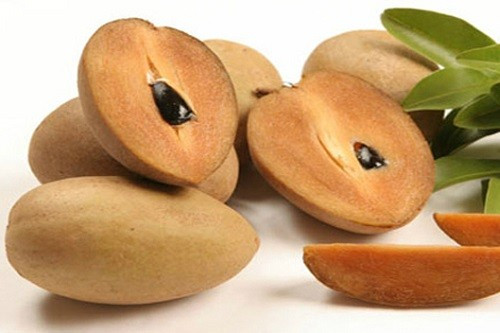 Ảnh minh hoạ: Internet