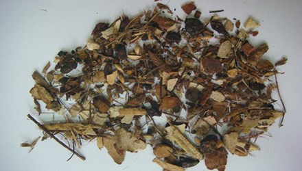 Ảnh minh họa: Internet