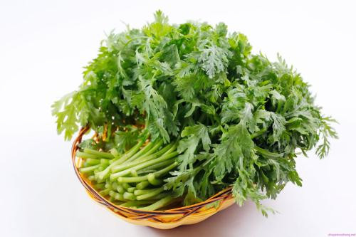 Ảnh minh hoạ: Internet