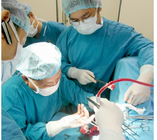 Ảnh minh hoạ: Internet