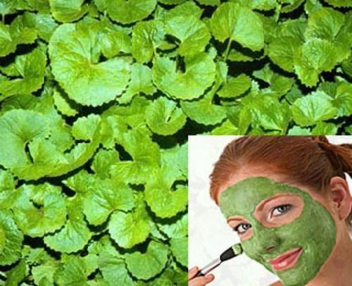 Ảnh minh hoạ: Internet