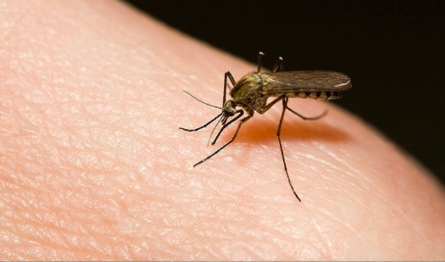 Ảnh minh hoạ: Internet