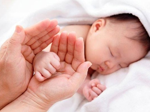 Ảnh minh hoạ: Internet