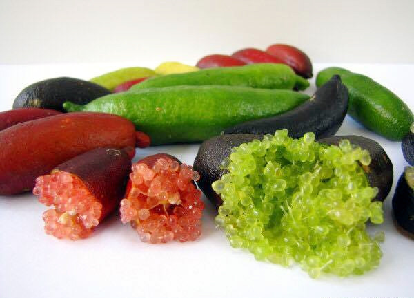 Ảnh minh họa: Internet