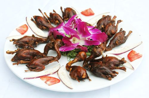 Ảnh minh họa: Internet