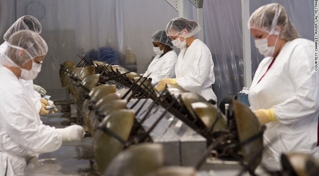 Cách đây gần 50 năm, khoa học đã khám phá ra máu loài sam có khả năng ngừa độc tố. Bây giờ chúng lại dùng để thanh trùng các sản phẩm y tế.