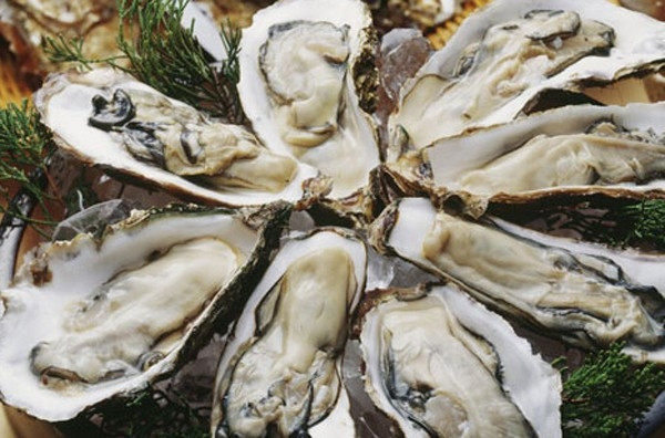 Ảnh minh họa: Internet