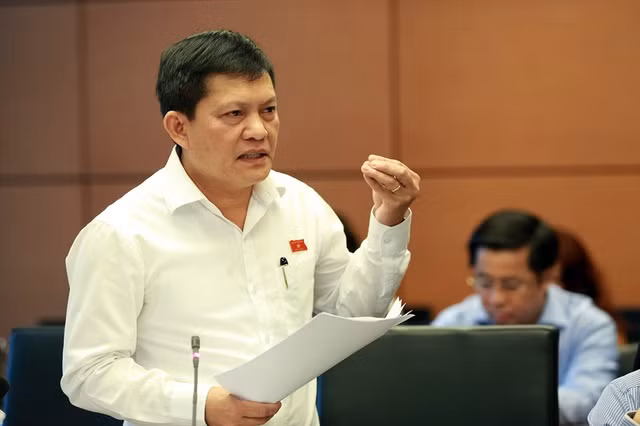 ĐBQH Phạm Phú Quốc khi phát biểu tại phiên họp tổ, đoàn TPHCM