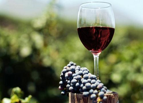 Ảnh minh hoạ: Internet