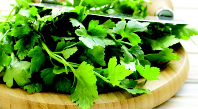 Ảnh minh họa: Internet