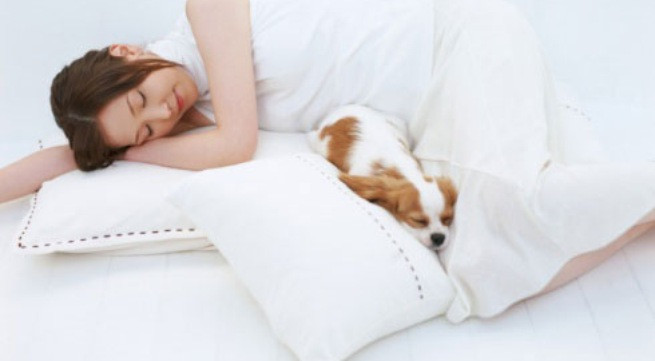 Ảnh minh họa: Internet