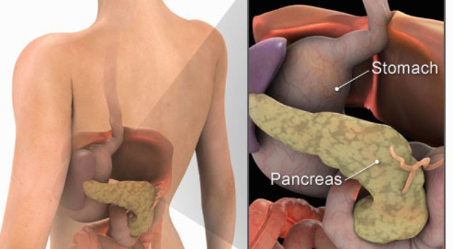 Ảnh minh họa: Internet