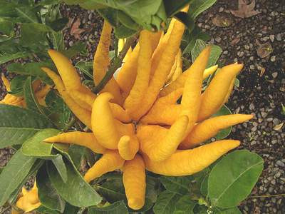 Ảnh minh hoạ: Internet