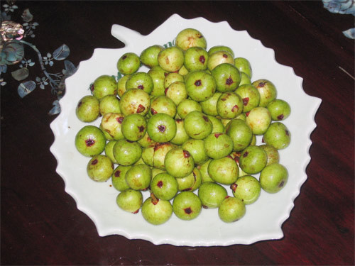 Ảnh minh họa: Internet