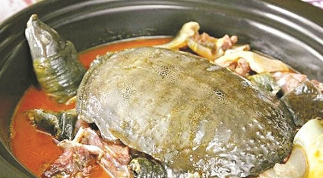 Ảnh minh họa: Internet