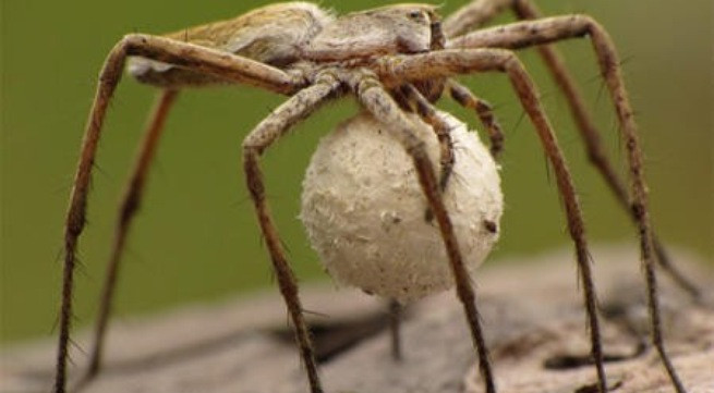 Ảnh minh họa: Internet