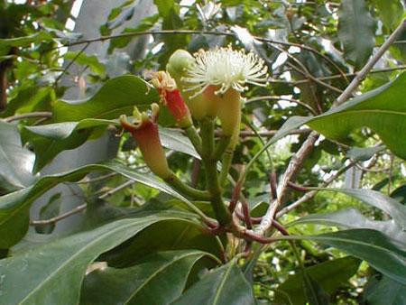 Ảnh minh hoạ: Internet