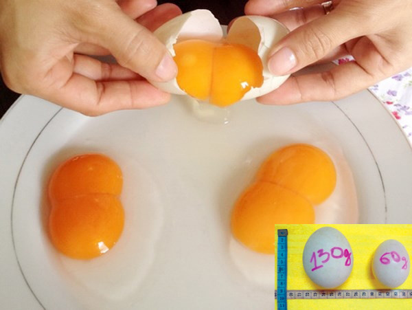 Ảnh minh hoạ: Internet