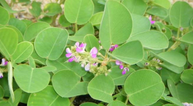 Ảnh minh họa: Internet